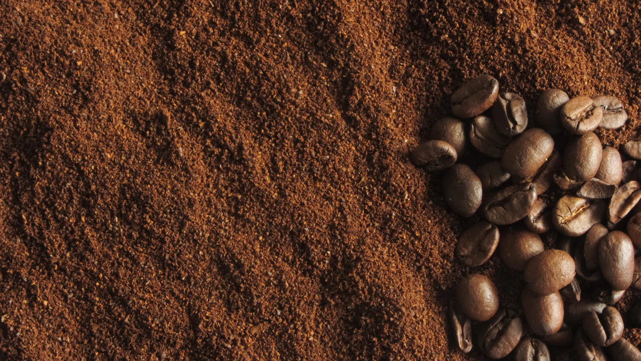 2 in 1 High Quality Coffee Beater and Egg Whisker